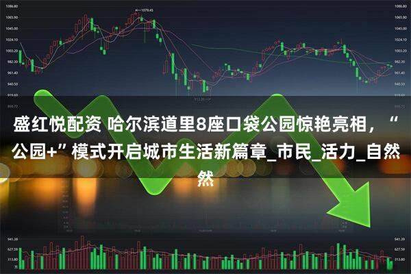 盛红悦配资 哈尔滨道里8座口袋公园惊艳亮相，“公园+”模式开启城市生活新篇章_市民_活力_自然