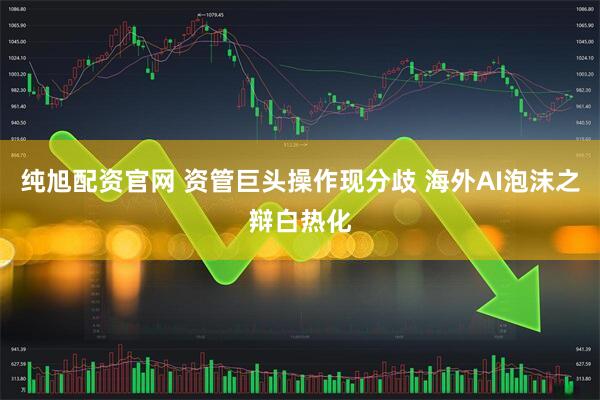 纯旭配资官网 资管巨头操作现分歧 海外AI泡沫之辩白热化