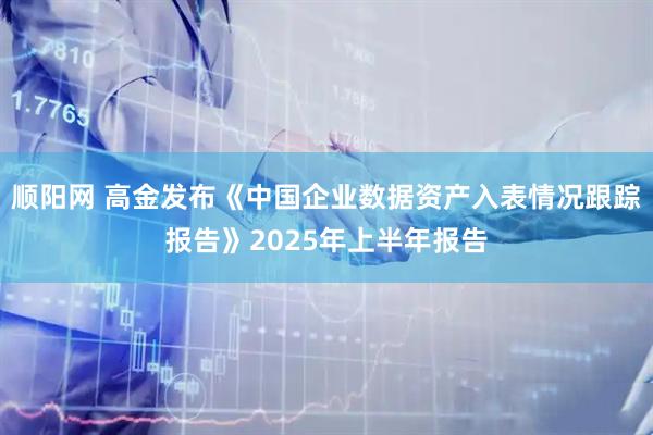 顺阳网 高金发布《中国企业数据资产入表情况跟踪报告》2025年上半年报告